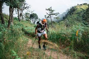 BIB: 
                            <button type="button" onclick="openModal(25267279)" class="btn btn-primary btn-sm float-right btn-popup" data-toggle="modal" data-target=".modal-high-quality">
                        <i class="fas fa-shopping-cart"></i> Add to Cart
                    </button>
                                            <button type="button" onclick="isThisMe(25267279, true)" class="btn btn-success btn-sm float-right btn-popup btn-isme hidden" data-toggle="tooltip" data-placement="bottom" title="นี่คือรูปของคุณใช่ไหม คลิกที่นี่เพื่อเอาเข้าอัลบั้ม">
                        <i class="fas fa-plus"></i> Add to album
                    </button>
                    <button type="button" onclick="isThisMe(25267279, false)" class="btn btn-warning btn-sm float-right btn-popup btn-isnotme hidden">
                        <i class="fas fa-ban"></i> Remove from album
                    </button>