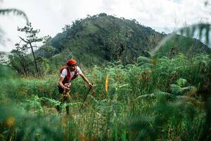 BIB: 
                            <button type="button" onclick="openModal(25274224)" class="btn btn-primary btn-sm float-right btn-popup" data-toggle="modal" data-target=".modal-high-quality">
                        <i class="fas fa-shopping-cart"></i> Add to Cart
                    </button>
                                            <button type="button" onclick="isThisMe(25274224, true)" class="btn btn-success btn-sm float-right btn-popup btn-isme hidden" data-toggle="tooltip" data-placement="bottom" title="นี่คือรูปของคุณใช่ไหม คลิกที่นี่เพื่อเอาเข้าอัลบั้ม">
                        <i class="fas fa-plus"></i> Add to album
                    </button>
                    <button type="button" onclick="isThisMe(25274224, false)" class="btn btn-warning btn-sm float-right btn-popup btn-isnotme hidden">
                        <i class="fas fa-ban"></i> Remove from album
                    </button>