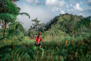 BIB: 
                            <button type="button" onclick="openModal(25272388)" class="btn btn-primary btn-sm float-right btn-popup" data-toggle="modal" data-target=".modal-high-quality">
                        <i class="fas fa-shopping-cart"></i> Add to Cart
                    </button>
                                            <button type="button" onclick="isThisMe(25272388, true)" class="btn btn-success btn-sm float-right btn-popup btn-isme hidden" data-toggle="tooltip" data-placement="bottom" title="นี่คือรูปของคุณใช่ไหม คลิกที่นี่เพื่อเอาเข้าอัลบั้ม">
                        <i class="fas fa-plus"></i> Add to album
                    </button>
                    <button type="button" onclick="isThisMe(25272388, false)" class="btn btn-warning btn-sm float-right btn-popup btn-isnotme hidden">
                        <i class="fas fa-ban"></i> Remove from album
                    </button>