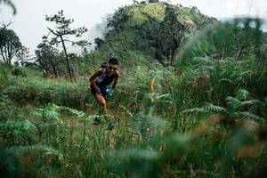 BIB: 
                            <button type="button" onclick="openModal(25271155)" class="btn btn-primary btn-sm float-right btn-popup" data-toggle="modal" data-target=".modal-high-quality">
                        <i class="fas fa-shopping-cart"></i> Add to Cart
                    </button>
                                            <button type="button" onclick="isThisMe(25271155, true)" class="btn btn-success btn-sm float-right btn-popup btn-isme hidden" data-toggle="tooltip" data-placement="bottom" title="นี่คือรูปของคุณใช่ไหม คลิกที่นี่เพื่อเอาเข้าอัลบั้ม">
                        <i class="fas fa-plus"></i> Add to album
                    </button>
                    <button type="button" onclick="isThisMe(25271155, false)" class="btn btn-warning btn-sm float-right btn-popup btn-isnotme hidden">
                        <i class="fas fa-ban"></i> Remove from album
                    </button>