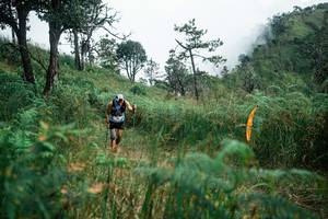 BIB: 
                            <button type="button" onclick="openModal(25275883)" class="btn btn-primary btn-sm float-right btn-popup" data-toggle="modal" data-target=".modal-high-quality">
                        <i class="fas fa-shopping-cart"></i> Add to Cart
                    </button>
                                            <button type="button" onclick="isThisMe(25275883, true)" class="btn btn-success btn-sm float-right btn-popup btn-isme hidden" data-toggle="tooltip" data-placement="bottom" title="นี่คือรูปของคุณใช่ไหม คลิกที่นี่เพื่อเอาเข้าอัลบั้ม">
                        <i class="fas fa-plus"></i> Add to album
                    </button>
                    <button type="button" onclick="isThisMe(25275883, false)" class="btn btn-warning btn-sm float-right btn-popup btn-isnotme hidden">
                        <i class="fas fa-ban"></i> Remove from album
                    </button>