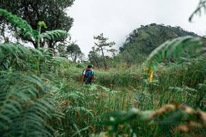 BIB: 
                            <button type="button" onclick="openModal(25278609)" class="btn btn-primary btn-sm float-right btn-popup" data-toggle="modal" data-target=".modal-high-quality">
                        <i class="fas fa-shopping-cart"></i> Add to Cart
                    </button>
                                            <button type="button" onclick="isThisMe(25278609, true)" class="btn btn-success btn-sm float-right btn-popup btn-isme hidden" data-toggle="tooltip" data-placement="bottom" title="นี่คือรูปของคุณใช่ไหม คลิกที่นี่เพื่อเอาเข้าอัลบั้ม">
                        <i class="fas fa-plus"></i> Add to album
                    </button>
                    <button type="button" onclick="isThisMe(25278609, false)" class="btn btn-warning btn-sm float-right btn-popup btn-isnotme hidden">
                        <i class="fas fa-ban"></i> Remove from album
                    </button>