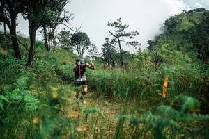 BIB: 
                            <button type="button" onclick="openModal(25277782)" class="btn btn-primary btn-sm float-right btn-popup" data-toggle="modal" data-target=".modal-high-quality">
                        <i class="fas fa-shopping-cart"></i> Add to Cart
                    </button>
                                            <button type="button" onclick="isThisMe(25277782, true)" class="btn btn-success btn-sm float-right btn-popup btn-isme hidden" data-toggle="tooltip" data-placement="bottom" title="นี่คือรูปของคุณใช่ไหม คลิกที่นี่เพื่อเอาเข้าอัลบั้ม">
                        <i class="fas fa-plus"></i> Add to album
                    </button>
                    <button type="button" onclick="isThisMe(25277782, false)" class="btn btn-warning btn-sm float-right btn-popup btn-isnotme hidden">
                        <i class="fas fa-ban"></i> Remove from album
                    </button>