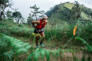 BIB: 
                            <button type="button" onclick="openModal(25277138)" class="btn btn-primary btn-sm float-right btn-popup" data-toggle="modal" data-target=".modal-high-quality">
                        <i class="fas fa-shopping-cart"></i> Add to Cart
                    </button>
                                            <button type="button" onclick="isThisMe(25277138, true)" class="btn btn-success btn-sm float-right btn-popup btn-isme hidden" data-toggle="tooltip" data-placement="bottom" title="นี่คือรูปของคุณใช่ไหม คลิกที่นี่เพื่อเอาเข้าอัลบั้ม">
                        <i class="fas fa-plus"></i> Add to album
                    </button>
                    <button type="button" onclick="isThisMe(25277138, false)" class="btn btn-warning btn-sm float-right btn-popup btn-isnotme hidden">
                        <i class="fas fa-ban"></i> Remove from album
                    </button>