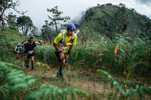 BIB: 
                            <button type="button" onclick="openModal(25267084)" class="btn btn-primary btn-sm float-right btn-popup" data-toggle="modal" data-target=".modal-high-quality">
                        <i class="fas fa-shopping-cart"></i> Add to Cart
                    </button>
                                            <button type="button" onclick="isThisMe(25267084, true)" class="btn btn-success btn-sm float-right btn-popup btn-isme hidden" data-toggle="tooltip" data-placement="bottom" title="นี่คือรูปของคุณใช่ไหม คลิกที่นี่เพื่อเอาเข้าอัลบั้ม">
                        <i class="fas fa-plus"></i> Add to album
                    </button>
                    <button type="button" onclick="isThisMe(25267084, false)" class="btn btn-warning btn-sm float-right btn-popup btn-isnotme hidden">
                        <i class="fas fa-ban"></i> Remove from album
                    </button>