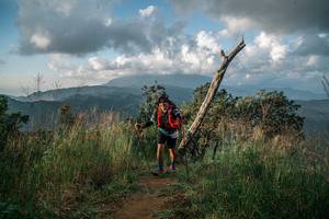 BIB: 
                            <button type="button" onclick="openModal(25264196)" class="btn btn-primary btn-sm float-right btn-popup" data-toggle="modal" data-target=".modal-high-quality">
                        <i class="fas fa-shopping-cart"></i> Add to Cart
                    </button>
                                            <button type="button" onclick="isThisMe(25264196, true)" class="btn btn-success btn-sm float-right btn-popup btn-isme hidden" data-toggle="tooltip" data-placement="bottom" title="นี่คือรูปของคุณใช่ไหม คลิกที่นี่เพื่อเอาเข้าอัลบั้ม">
                        <i class="fas fa-plus"></i> Add to album
                    </button>
                    <button type="button" onclick="isThisMe(25264196, false)" class="btn btn-warning btn-sm float-right btn-popup btn-isnotme hidden">
                        <i class="fas fa-ban"></i> Remove from album
                    </button>