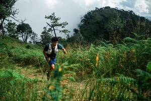 BIB: 
                            <button type="button" onclick="openModal(25276734)" class="btn btn-primary btn-sm float-right btn-popup" data-toggle="modal" data-target=".modal-high-quality">
                        <i class="fas fa-shopping-cart"></i> Add to Cart
                    </button>
                                            <button type="button" onclick="isThisMe(25276734, true)" class="btn btn-success btn-sm float-right btn-popup btn-isme hidden" data-toggle="tooltip" data-placement="bottom" title="นี่คือรูปของคุณใช่ไหม คลิกที่นี่เพื่อเอาเข้าอัลบั้ม">
                        <i class="fas fa-plus"></i> Add to album
                    </button>
                    <button type="button" onclick="isThisMe(25276734, false)" class="btn btn-warning btn-sm float-right btn-popup btn-isnotme hidden">
                        <i class="fas fa-ban"></i> Remove from album
                    </button>