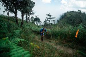 BIB: 
                            <button type="button" onclick="openModal(25266646)" class="btn btn-primary btn-sm float-right btn-popup" data-toggle="modal" data-target=".modal-high-quality">
                        <i class="fas fa-shopping-cart"></i> Add to Cart
                    </button>
                                            <button type="button" onclick="isThisMe(25266646, true)" class="btn btn-success btn-sm float-right btn-popup btn-isme hidden" data-toggle="tooltip" data-placement="bottom" title="นี่คือรูปของคุณใช่ไหม คลิกที่นี่เพื่อเอาเข้าอัลบั้ม">
                        <i class="fas fa-plus"></i> Add to album
                    </button>
                    <button type="button" onclick="isThisMe(25266646, false)" class="btn btn-warning btn-sm float-right btn-popup btn-isnotme hidden">
                        <i class="fas fa-ban"></i> Remove from album
                    </button>