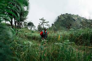 BIB: 
                            <button type="button" onclick="openModal(25278513)" class="btn btn-primary btn-sm float-right btn-popup" data-toggle="modal" data-target=".modal-high-quality">
                        <i class="fas fa-shopping-cart"></i> Add to Cart
                    </button>
                                            <button type="button" onclick="isThisMe(25278513, true)" class="btn btn-success btn-sm float-right btn-popup btn-isme hidden" data-toggle="tooltip" data-placement="bottom" title="นี่คือรูปของคุณใช่ไหม คลิกที่นี่เพื่อเอาเข้าอัลบั้ม">
                        <i class="fas fa-plus"></i> Add to album
                    </button>
                    <button type="button" onclick="isThisMe(25278513, false)" class="btn btn-warning btn-sm float-right btn-popup btn-isnotme hidden">
                        <i class="fas fa-ban"></i> Remove from album
                    </button>