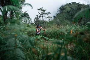 BIB: 
                            <button type="button" onclick="openModal(25274561)" class="btn btn-primary btn-sm float-right btn-popup" data-toggle="modal" data-target=".modal-high-quality">
                        <i class="fas fa-shopping-cart"></i> Add to Cart
                    </button>
                                            <button type="button" onclick="isThisMe(25274561, true)" class="btn btn-success btn-sm float-right btn-popup btn-isme hidden" data-toggle="tooltip" data-placement="bottom" title="นี่คือรูปของคุณใช่ไหม คลิกที่นี่เพื่อเอาเข้าอัลบั้ม">
                        <i class="fas fa-plus"></i> Add to album
                    </button>
                    <button type="button" onclick="isThisMe(25274561, false)" class="btn btn-warning btn-sm float-right btn-popup btn-isnotme hidden">
                        <i class="fas fa-ban"></i> Remove from album
                    </button>