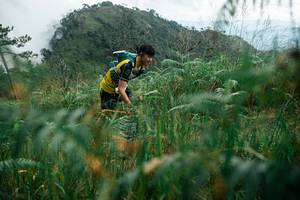 BIB: 
                            <button type="button" onclick="openModal(25271863)" class="btn btn-primary btn-sm float-right btn-popup" data-toggle="modal" data-target=".modal-high-quality">
                        <i class="fas fa-shopping-cart"></i> Add to Cart
                    </button>
                                            <button type="button" onclick="isThisMe(25271863, true)" class="btn btn-success btn-sm float-right btn-popup btn-isme hidden" data-toggle="tooltip" data-placement="bottom" title="นี่คือรูปของคุณใช่ไหม คลิกที่นี่เพื่อเอาเข้าอัลบั้ม">
                        <i class="fas fa-plus"></i> Add to album
                    </button>
                    <button type="button" onclick="isThisMe(25271863, false)" class="btn btn-warning btn-sm float-right btn-popup btn-isnotme hidden">
                        <i class="fas fa-ban"></i> Remove from album
                    </button>