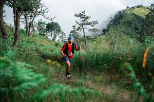 BIB: 
                            <button type="button" onclick="openModal(25274051)" class="btn btn-primary btn-sm float-right btn-popup" data-toggle="modal" data-target=".modal-high-quality">
                        <i class="fas fa-shopping-cart"></i> Add to Cart
                    </button>
                                            <button type="button" onclick="isThisMe(25274051, true)" class="btn btn-success btn-sm float-right btn-popup btn-isme hidden" data-toggle="tooltip" data-placement="bottom" title="นี่คือรูปของคุณใช่ไหม คลิกที่นี่เพื่อเอาเข้าอัลบั้ม">
                        <i class="fas fa-plus"></i> Add to album
                    </button>
                    <button type="button" onclick="isThisMe(25274051, false)" class="btn btn-warning btn-sm float-right btn-popup btn-isnotme hidden">
                        <i class="fas fa-ban"></i> Remove from album
                    </button>