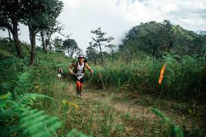 BIB: 
                            <button type="button" onclick="openModal(25267160)" class="btn btn-primary btn-sm float-right btn-popup" data-toggle="modal" data-target=".modal-high-quality">
                        <i class="fas fa-shopping-cart"></i> Add to Cart
                    </button>
                                            <button type="button" onclick="isThisMe(25267160, true)" class="btn btn-success btn-sm float-right btn-popup btn-isme hidden" data-toggle="tooltip" data-placement="bottom" title="นี่คือรูปของคุณใช่ไหม คลิกที่นี่เพื่อเอาเข้าอัลบั้ม">
                        <i class="fas fa-plus"></i> Add to album
                    </button>
                    <button type="button" onclick="isThisMe(25267160, false)" class="btn btn-warning btn-sm float-right btn-popup btn-isnotme hidden">
                        <i class="fas fa-ban"></i> Remove from album
                    </button>