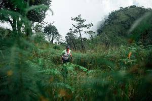 BIB: 
                            <button type="button" onclick="openModal(25272536)" class="btn btn-primary btn-sm float-right btn-popup" data-toggle="modal" data-target=".modal-high-quality">
                        <i class="fas fa-shopping-cart"></i> Add to Cart
                    </button>
                                            <button type="button" onclick="isThisMe(25272536, true)" class="btn btn-success btn-sm float-right btn-popup btn-isme hidden" data-toggle="tooltip" data-placement="bottom" title="นี่คือรูปของคุณใช่ไหม คลิกที่นี่เพื่อเอาเข้าอัลบั้ม">
                        <i class="fas fa-plus"></i> Add to album
                    </button>
                    <button type="button" onclick="isThisMe(25272536, false)" class="btn btn-warning btn-sm float-right btn-popup btn-isnotme hidden">
                        <i class="fas fa-ban"></i> Remove from album
                    </button>