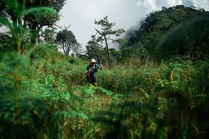 BIB: 
                            <button type="button" onclick="openModal(25272614)" class="btn btn-primary btn-sm float-right btn-popup" data-toggle="modal" data-target=".modal-high-quality">
                        <i class="fas fa-shopping-cart"></i> Add to Cart
                    </button>
                                            <button type="button" onclick="isThisMe(25272614, true)" class="btn btn-success btn-sm float-right btn-popup btn-isme hidden" data-toggle="tooltip" data-placement="bottom" title="นี่คือรูปของคุณใช่ไหม คลิกที่นี่เพื่อเอาเข้าอัลบั้ม">
                        <i class="fas fa-plus"></i> Add to album
                    </button>
                    <button type="button" onclick="isThisMe(25272614, false)" class="btn btn-warning btn-sm float-right btn-popup btn-isnotme hidden">
                        <i class="fas fa-ban"></i> Remove from album
                    </button>