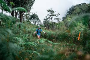 BIB: 
                            <button type="button" onclick="openModal(25275711)" class="btn btn-primary btn-sm float-right btn-popup" data-toggle="modal" data-target=".modal-high-quality">
                        <i class="fas fa-shopping-cart"></i> Add to Cart
                    </button>
                                            <button type="button" onclick="isThisMe(25275711, true)" class="btn btn-success btn-sm float-right btn-popup btn-isme hidden" data-toggle="tooltip" data-placement="bottom" title="นี่คือรูปของคุณใช่ไหม คลิกที่นี่เพื่อเอาเข้าอัลบั้ม">
                        <i class="fas fa-plus"></i> Add to album
                    </button>
                    <button type="button" onclick="isThisMe(25275711, false)" class="btn btn-warning btn-sm float-right btn-popup btn-isnotme hidden">
                        <i class="fas fa-ban"></i> Remove from album
                    </button>