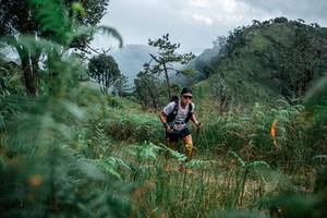 BIB: 
                            <button type="button" onclick="openModal(25265800)" class="btn btn-primary btn-sm float-right btn-popup" data-toggle="modal" data-target=".modal-high-quality">
                        <i class="fas fa-shopping-cart"></i> Add to Cart
                    </button>
                                            <button type="button" onclick="isThisMe(25265800, true)" class="btn btn-success btn-sm float-right btn-popup btn-isme hidden" data-toggle="tooltip" data-placement="bottom" title="นี่คือรูปของคุณใช่ไหม คลิกที่นี่เพื่อเอาเข้าอัลบั้ม">
                        <i class="fas fa-plus"></i> Add to album
                    </button>
                    <button type="button" onclick="isThisMe(25265800, false)" class="btn btn-warning btn-sm float-right btn-popup btn-isnotme hidden">
                        <i class="fas fa-ban"></i> Remove from album
                    </button>