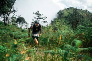 BIB: 
                            <button type="button" onclick="openModal(25277753)" class="btn btn-primary btn-sm float-right btn-popup" data-toggle="modal" data-target=".modal-high-quality">
                        <i class="fas fa-shopping-cart"></i> Add to Cart
                    </button>
                                            <button type="button" onclick="isThisMe(25277753, true)" class="btn btn-success btn-sm float-right btn-popup btn-isme hidden" data-toggle="tooltip" data-placement="bottom" title="นี่คือรูปของคุณใช่ไหม คลิกที่นี่เพื่อเอาเข้าอัลบั้ม">
                        <i class="fas fa-plus"></i> Add to album
                    </button>
                    <button type="button" onclick="isThisMe(25277753, false)" class="btn btn-warning btn-sm float-right btn-popup btn-isnotme hidden">
                        <i class="fas fa-ban"></i> Remove from album
                    </button>