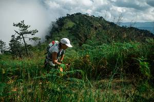 BIB: 
                            <button type="button" onclick="openModal(25269576)" class="btn btn-primary btn-sm float-right btn-popup" data-toggle="modal" data-target=".modal-high-quality">
                        <i class="fas fa-shopping-cart"></i> Add to Cart
                    </button>
                                            <button type="button" onclick="isThisMe(25269576, true)" class="btn btn-success btn-sm float-right btn-popup btn-isme hidden" data-toggle="tooltip" data-placement="bottom" title="นี่คือรูปของคุณใช่ไหม คลิกที่นี่เพื่อเอาเข้าอัลบั้ม">
                        <i class="fas fa-plus"></i> Add to album
                    </button>
                    <button type="button" onclick="isThisMe(25269576, false)" class="btn btn-warning btn-sm float-right btn-popup btn-isnotme hidden">
                        <i class="fas fa-ban"></i> Remove from album
                    </button>