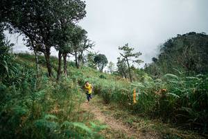 BIB: 
                            <button type="button" onclick="openModal(25278783)" class="btn btn-primary btn-sm float-right btn-popup" data-toggle="modal" data-target=".modal-high-quality">
                        <i class="fas fa-shopping-cart"></i> Add to Cart
                    </button>
                                            <button type="button" onclick="isThisMe(25278783, true)" class="btn btn-success btn-sm float-right btn-popup btn-isme hidden" data-toggle="tooltip" data-placement="bottom" title="นี่คือรูปของคุณใช่ไหม คลิกที่นี่เพื่อเอาเข้าอัลบั้ม">
                        <i class="fas fa-plus"></i> Add to album
                    </button>
                    <button type="button" onclick="isThisMe(25278783, false)" class="btn btn-warning btn-sm float-right btn-popup btn-isnotme hidden">
                        <i class="fas fa-ban"></i> Remove from album
                    </button>