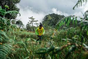 BIB: 
                            <button type="button" onclick="openModal(25278502)" class="btn btn-primary btn-sm float-right btn-popup" data-toggle="modal" data-target=".modal-high-quality">
                        <i class="fas fa-shopping-cart"></i> Add to Cart
                    </button>
                                            <button type="button" onclick="isThisMe(25278502, true)" class="btn btn-success btn-sm float-right btn-popup btn-isme hidden" data-toggle="tooltip" data-placement="bottom" title="นี่คือรูปของคุณใช่ไหม คลิกที่นี่เพื่อเอาเข้าอัลบั้ม">
                        <i class="fas fa-plus"></i> Add to album
                    </button>
                    <button type="button" onclick="isThisMe(25278502, false)" class="btn btn-warning btn-sm float-right btn-popup btn-isnotme hidden">
                        <i class="fas fa-ban"></i> Remove from album
                    </button>