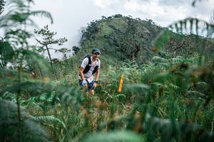 BIB: 
                            <button type="button" onclick="openModal(25276737)" class="btn btn-primary btn-sm float-right btn-popup" data-toggle="modal" data-target=".modal-high-quality">
                        <i class="fas fa-shopping-cart"></i> Add to Cart
                    </button>
                                            <button type="button" onclick="isThisMe(25276737, true)" class="btn btn-success btn-sm float-right btn-popup btn-isme hidden" data-toggle="tooltip" data-placement="bottom" title="นี่คือรูปของคุณใช่ไหม คลิกที่นี่เพื่อเอาเข้าอัลบั้ม">
                        <i class="fas fa-plus"></i> Add to album
                    </button>
                    <button type="button" onclick="isThisMe(25276737, false)" class="btn btn-warning btn-sm float-right btn-popup btn-isnotme hidden">
                        <i class="fas fa-ban"></i> Remove from album
                    </button>