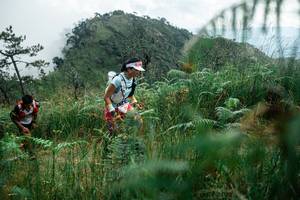 BIB: 
                            <button type="button" onclick="openModal(25271682)" class="btn btn-primary btn-sm float-right btn-popup" data-toggle="modal" data-target=".modal-high-quality">
                        <i class="fas fa-shopping-cart"></i> Add to Cart
                    </button>
                                            <button type="button" onclick="isThisMe(25271682, true)" class="btn btn-success btn-sm float-right btn-popup btn-isme hidden" data-toggle="tooltip" data-placement="bottom" title="นี่คือรูปของคุณใช่ไหม คลิกที่นี่เพื่อเอาเข้าอัลบั้ม">
                        <i class="fas fa-plus"></i> Add to album
                    </button>
                    <button type="button" onclick="isThisMe(25271682, false)" class="btn btn-warning btn-sm float-right btn-popup btn-isnotme hidden">
                        <i class="fas fa-ban"></i> Remove from album
                    </button>