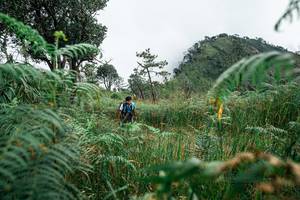 BIB: 
                            <button type="button" onclick="openModal(25278625)" class="btn btn-primary btn-sm float-right btn-popup" data-toggle="modal" data-target=".modal-high-quality">
                        <i class="fas fa-shopping-cart"></i> Add to Cart
                    </button>
                                            <button type="button" onclick="isThisMe(25278625, true)" class="btn btn-success btn-sm float-right btn-popup btn-isme hidden" data-toggle="tooltip" data-placement="bottom" title="นี่คือรูปของคุณใช่ไหม คลิกที่นี่เพื่อเอาเข้าอัลบั้ม">
                        <i class="fas fa-plus"></i> Add to album
                    </button>
                    <button type="button" onclick="isThisMe(25278625, false)" class="btn btn-warning btn-sm float-right btn-popup btn-isnotme hidden">
                        <i class="fas fa-ban"></i> Remove from album
                    </button>