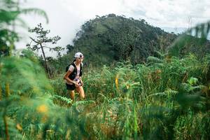 BIB: 
                            <button type="button" onclick="openModal(25273649)" class="btn btn-primary btn-sm float-right btn-popup" data-toggle="modal" data-target=".modal-high-quality">
                        <i class="fas fa-shopping-cart"></i> Add to Cart
                    </button>
                                            <button type="button" onclick="isThisMe(25273649, true)" class="btn btn-success btn-sm float-right btn-popup btn-isme hidden" data-toggle="tooltip" data-placement="bottom" title="นี่คือรูปของคุณใช่ไหม คลิกที่นี่เพื่อเอาเข้าอัลบั้ม">
                        <i class="fas fa-plus"></i> Add to album
                    </button>
                    <button type="button" onclick="isThisMe(25273649, false)" class="btn btn-warning btn-sm float-right btn-popup btn-isnotme hidden">
                        <i class="fas fa-ban"></i> Remove from album
                    </button>