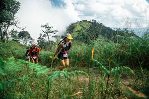 BIB: 
                            <button type="button" onclick="openModal(25268195)" class="btn btn-primary btn-sm float-right btn-popup" data-toggle="modal" data-target=".modal-high-quality">
                        <i class="fas fa-shopping-cart"></i> Add to Cart
                    </button>
                                            <button type="button" onclick="isThisMe(25268195, true)" class="btn btn-success btn-sm float-right btn-popup btn-isme hidden" data-toggle="tooltip" data-placement="bottom" title="นี่คือรูปของคุณใช่ไหม คลิกที่นี่เพื่อเอาเข้าอัลบั้ม">
                        <i class="fas fa-plus"></i> Add to album
                    </button>
                    <button type="button" onclick="isThisMe(25268195, false)" class="btn btn-warning btn-sm float-right btn-popup btn-isnotme hidden">
                        <i class="fas fa-ban"></i> Remove from album
                    </button>