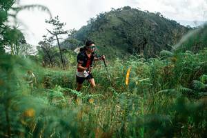 BIB: 
                            <button type="button" onclick="openModal(25274395)" class="btn btn-primary btn-sm float-right btn-popup" data-toggle="modal" data-target=".modal-high-quality">
                        <i class="fas fa-shopping-cart"></i> Add to Cart
                    </button>
                                            <button type="button" onclick="isThisMe(25274395, true)" class="btn btn-success btn-sm float-right btn-popup btn-isme hidden" data-toggle="tooltip" data-placement="bottom" title="นี่คือรูปของคุณใช่ไหม คลิกที่นี่เพื่อเอาเข้าอัลบั้ม">
                        <i class="fas fa-plus"></i> Add to album
                    </button>
                    <button type="button" onclick="isThisMe(25274395, false)" class="btn btn-warning btn-sm float-right btn-popup btn-isnotme hidden">
                        <i class="fas fa-ban"></i> Remove from album
                    </button>