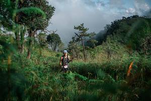 BIB: 
                            <button type="button" onclick="openModal(25271729)" class="btn btn-primary btn-sm float-right btn-popup" data-toggle="modal" data-target=".modal-high-quality">
                        <i class="fas fa-shopping-cart"></i> Add to Cart
                    </button>
                                            <button type="button" onclick="isThisMe(25271729, true)" class="btn btn-success btn-sm float-right btn-popup btn-isme hidden" data-toggle="tooltip" data-placement="bottom" title="นี่คือรูปของคุณใช่ไหม คลิกที่นี่เพื่อเอาเข้าอัลบั้ม">
                        <i class="fas fa-plus"></i> Add to album
                    </button>
                    <button type="button" onclick="isThisMe(25271729, false)" class="btn btn-warning btn-sm float-right btn-popup btn-isnotme hidden">
                        <i class="fas fa-ban"></i> Remove from album
                    </button>