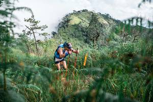 BIB: 
                            <button type="button" onclick="openModal(25272766)" class="btn btn-primary btn-sm float-right btn-popup" data-toggle="modal" data-target=".modal-high-quality">
                        <i class="fas fa-shopping-cart"></i> Add to Cart
                    </button>
                                            <button type="button" onclick="isThisMe(25272766, true)" class="btn btn-success btn-sm float-right btn-popup btn-isme hidden" data-toggle="tooltip" data-placement="bottom" title="นี่คือรูปของคุณใช่ไหม คลิกที่นี่เพื่อเอาเข้าอัลบั้ม">
                        <i class="fas fa-plus"></i> Add to album
                    </button>
                    <button type="button" onclick="isThisMe(25272766, false)" class="btn btn-warning btn-sm float-right btn-popup btn-isnotme hidden">
                        <i class="fas fa-ban"></i> Remove from album
                    </button>