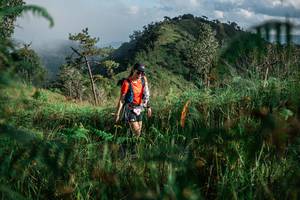 BIB: 
                            <button type="button" onclick="openModal(25270490)" class="btn btn-primary btn-sm float-right btn-popup" data-toggle="modal" data-target=".modal-high-quality">
                        <i class="fas fa-shopping-cart"></i> Add to Cart
                    </button>
                                            <button type="button" onclick="isThisMe(25270490, true)" class="btn btn-success btn-sm float-right btn-popup btn-isme hidden" data-toggle="tooltip" data-placement="bottom" title="นี่คือรูปของคุณใช่ไหม คลิกที่นี่เพื่อเอาเข้าอัลบั้ม">
                        <i class="fas fa-plus"></i> Add to album
                    </button>
                    <button type="button" onclick="isThisMe(25270490, false)" class="btn btn-warning btn-sm float-right btn-popup btn-isnotme hidden">
                        <i class="fas fa-ban"></i> Remove from album
                    </button>