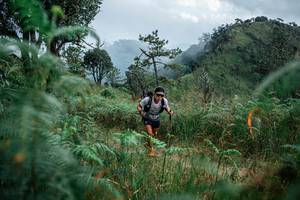 BIB: 
                            <button type="button" onclick="openModal(25265802)" class="btn btn-primary btn-sm float-right btn-popup" data-toggle="modal" data-target=".modal-high-quality">
                        <i class="fas fa-shopping-cart"></i> Add to Cart
                    </button>
                                            <button type="button" onclick="isThisMe(25265802, true)" class="btn btn-success btn-sm float-right btn-popup btn-isme hidden" data-toggle="tooltip" data-placement="bottom" title="นี่คือรูปของคุณใช่ไหม คลิกที่นี่เพื่อเอาเข้าอัลบั้ม">
                        <i class="fas fa-plus"></i> Add to album
                    </button>
                    <button type="button" onclick="isThisMe(25265802, false)" class="btn btn-warning btn-sm float-right btn-popup btn-isnotme hidden">
                        <i class="fas fa-ban"></i> Remove from album
                    </button>