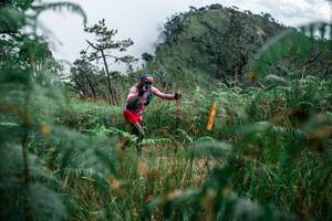 BIB: 
                            <button type="button" onclick="openModal(25277006)" class="btn btn-primary btn-sm float-right btn-popup" data-toggle="modal" data-target=".modal-high-quality">
                        <i class="fas fa-shopping-cart"></i> Add to Cart
                    </button>
                                            <button type="button" onclick="isThisMe(25277006, true)" class="btn btn-success btn-sm float-right btn-popup btn-isme hidden" data-toggle="tooltip" data-placement="bottom" title="นี่คือรูปของคุณใช่ไหม คลิกที่นี่เพื่อเอาเข้าอัลบั้ม">
                        <i class="fas fa-plus"></i> Add to album
                    </button>
                    <button type="button" onclick="isThisMe(25277006, false)" class="btn btn-warning btn-sm float-right btn-popup btn-isnotme hidden">
                        <i class="fas fa-ban"></i> Remove from album
                    </button>