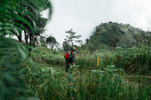 BIB: 
                            <button type="button" onclick="openModal(25278520)" class="btn btn-primary btn-sm float-right btn-popup" data-toggle="modal" data-target=".modal-high-quality">
                        <i class="fas fa-shopping-cart"></i> Add to Cart
                    </button>
                                            <button type="button" onclick="isThisMe(25278520, true)" class="btn btn-success btn-sm float-right btn-popup btn-isme hidden" data-toggle="tooltip" data-placement="bottom" title="นี่คือรูปของคุณใช่ไหม คลิกที่นี่เพื่อเอาเข้าอัลบั้ม">
                        <i class="fas fa-plus"></i> Add to album
                    </button>
                    <button type="button" onclick="isThisMe(25278520, false)" class="btn btn-warning btn-sm float-right btn-popup btn-isnotme hidden">
                        <i class="fas fa-ban"></i> Remove from album
                    </button>