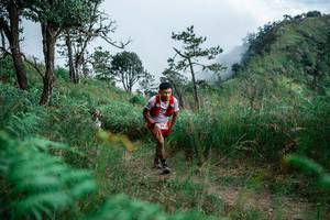 BIB: 
                            <button type="button" onclick="openModal(25277004)" class="btn btn-primary btn-sm float-right btn-popup" data-toggle="modal" data-target=".modal-high-quality">
                        <i class="fas fa-shopping-cart"></i> Add to Cart
                    </button>
                                            <button type="button" onclick="isThisMe(25277004, true)" class="btn btn-success btn-sm float-right btn-popup btn-isme hidden" data-toggle="tooltip" data-placement="bottom" title="นี่คือรูปของคุณใช่ไหม คลิกที่นี่เพื่อเอาเข้าอัลบั้ม">
                        <i class="fas fa-plus"></i> Add to album
                    </button>
                    <button type="button" onclick="isThisMe(25277004, false)" class="btn btn-warning btn-sm float-right btn-popup btn-isnotme hidden">
                        <i class="fas fa-ban"></i> Remove from album
                    </button>