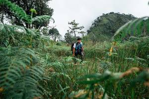 BIB: 
                            <button type="button" onclick="openModal(25278606)" class="btn btn-primary btn-sm float-right btn-popup" data-toggle="modal" data-target=".modal-high-quality">
                        <i class="fas fa-shopping-cart"></i> Add to Cart
                    </button>
                                            <button type="button" onclick="isThisMe(25278606, true)" class="btn btn-success btn-sm float-right btn-popup btn-isme hidden" data-toggle="tooltip" data-placement="bottom" title="นี่คือรูปของคุณใช่ไหม คลิกที่นี่เพื่อเอาเข้าอัลบั้ม">
                        <i class="fas fa-plus"></i> Add to album
                    </button>
                    <button type="button" onclick="isThisMe(25278606, false)" class="btn btn-warning btn-sm float-right btn-popup btn-isnotme hidden">
                        <i class="fas fa-ban"></i> Remove from album
                    </button>