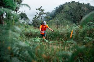 BIB: 
                            <button type="button" onclick="openModal(25267743)" class="btn btn-primary btn-sm float-right btn-popup" data-toggle="modal" data-target=".modal-high-quality">
                        <i class="fas fa-shopping-cart"></i> Add to Cart
                    </button>
                                            <button type="button" onclick="isThisMe(25267743, true)" class="btn btn-success btn-sm float-right btn-popup btn-isme hidden" data-toggle="tooltip" data-placement="bottom" title="นี่คือรูปของคุณใช่ไหม คลิกที่นี่เพื่อเอาเข้าอัลบั้ม">
                        <i class="fas fa-plus"></i> Add to album
                    </button>
                    <button type="button" onclick="isThisMe(25267743, false)" class="btn btn-warning btn-sm float-right btn-popup btn-isnotme hidden">
                        <i class="fas fa-ban"></i> Remove from album
                    </button>