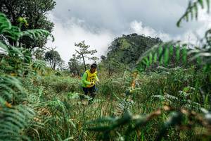 BIB: 
                            <button type="button" onclick="openModal(25278504)" class="btn btn-primary btn-sm float-right btn-popup" data-toggle="modal" data-target=".modal-high-quality">
                        <i class="fas fa-shopping-cart"></i> Add to Cart
                    </button>
                                            <button type="button" onclick="isThisMe(25278504, true)" class="btn btn-success btn-sm float-right btn-popup btn-isme hidden" data-toggle="tooltip" data-placement="bottom" title="นี่คือรูปของคุณใช่ไหม คลิกที่นี่เพื่อเอาเข้าอัลบั้ม">
                        <i class="fas fa-plus"></i> Add to album
                    </button>
                    <button type="button" onclick="isThisMe(25278504, false)" class="btn btn-warning btn-sm float-right btn-popup btn-isnotme hidden">
                        <i class="fas fa-ban"></i> Remove from album
                    </button>