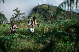 BIB: 
                            <button type="button" onclick="openModal(25272609)" class="btn btn-primary btn-sm float-right btn-popup" data-toggle="modal" data-target=".modal-high-quality">
                        <i class="fas fa-shopping-cart"></i> Add to Cart
                    </button>
                                            <button type="button" onclick="isThisMe(25272609, true)" class="btn btn-success btn-sm float-right btn-popup btn-isme hidden" data-toggle="tooltip" data-placement="bottom" title="นี่คือรูปของคุณใช่ไหม คลิกที่นี่เพื่อเอาเข้าอัลบั้ม">
                        <i class="fas fa-plus"></i> Add to album
                    </button>
                    <button type="button" onclick="isThisMe(25272609, false)" class="btn btn-warning btn-sm float-right btn-popup btn-isnotme hidden">
                        <i class="fas fa-ban"></i> Remove from album
                    </button>