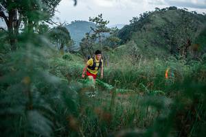 BIB: 
                            <button type="button" onclick="openModal(25266974)" class="btn btn-primary btn-sm float-right btn-popup" data-toggle="modal" data-target=".modal-high-quality">
                        <i class="fas fa-shopping-cart"></i> Add to Cart
                    </button>
                                            <button type="button" onclick="isThisMe(25266974, true)" class="btn btn-success btn-sm float-right btn-popup btn-isme hidden" data-toggle="tooltip" data-placement="bottom" title="นี่คือรูปของคุณใช่ไหม คลิกที่นี่เพื่อเอาเข้าอัลบั้ม">
                        <i class="fas fa-plus"></i> Add to album
                    </button>
                    <button type="button" onclick="isThisMe(25266974, false)" class="btn btn-warning btn-sm float-right btn-popup btn-isnotme hidden">
                        <i class="fas fa-ban"></i> Remove from album
                    </button>