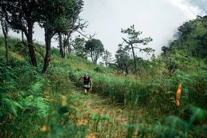 BIB: 
                            <button type="button" onclick="openModal(25277828)" class="btn btn-primary btn-sm float-right btn-popup" data-toggle="modal" data-target=".modal-high-quality">
                        <i class="fas fa-shopping-cart"></i> Add to Cart
                    </button>
                                            <button type="button" onclick="isThisMe(25277828, true)" class="btn btn-success btn-sm float-right btn-popup btn-isme hidden" data-toggle="tooltip" data-placement="bottom" title="นี่คือรูปของคุณใช่ไหม คลิกที่นี่เพื่อเอาเข้าอัลบั้ม">
                        <i class="fas fa-plus"></i> Add to album
                    </button>
                    <button type="button" onclick="isThisMe(25277828, false)" class="btn btn-warning btn-sm float-right btn-popup btn-isnotme hidden">
                        <i class="fas fa-ban"></i> Remove from album
                    </button>