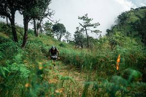 BIB: 
                            <button type="button" onclick="openModal(25277814)" class="btn btn-primary btn-sm float-right btn-popup" data-toggle="modal" data-target=".modal-high-quality">
                        <i class="fas fa-shopping-cart"></i> Add to Cart
                    </button>
                                            <button type="button" onclick="isThisMe(25277814, true)" class="btn btn-success btn-sm float-right btn-popup btn-isme hidden" data-toggle="tooltip" data-placement="bottom" title="นี่คือรูปของคุณใช่ไหม คลิกที่นี่เพื่อเอาเข้าอัลบั้ม">
                        <i class="fas fa-plus"></i> Add to album
                    </button>
                    <button type="button" onclick="isThisMe(25277814, false)" class="btn btn-warning btn-sm float-right btn-popup btn-isnotme hidden">
                        <i class="fas fa-ban"></i> Remove from album
                    </button>