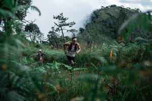 BIB: 
                            <button type="button" onclick="openModal(25277850)" class="btn btn-primary btn-sm float-right btn-popup" data-toggle="modal" data-target=".modal-high-quality">
                        <i class="fas fa-shopping-cart"></i> Add to Cart
                    </button>
                                            <button type="button" onclick="isThisMe(25277850, true)" class="btn btn-success btn-sm float-right btn-popup btn-isme hidden" data-toggle="tooltip" data-placement="bottom" title="นี่คือรูปของคุณใช่ไหม คลิกที่นี่เพื่อเอาเข้าอัลบั้ม">
                        <i class="fas fa-plus"></i> Add to album
                    </button>
                    <button type="button" onclick="isThisMe(25277850, false)" class="btn btn-warning btn-sm float-right btn-popup btn-isnotme hidden">
                        <i class="fas fa-ban"></i> Remove from album
                    </button>