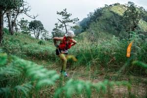 BIB: 
                            <button type="button" onclick="openModal(25277160)" class="btn btn-primary btn-sm float-right btn-popup" data-toggle="modal" data-target=".modal-high-quality">
                        <i class="fas fa-shopping-cart"></i> Add to Cart
                    </button>
                                            <button type="button" onclick="isThisMe(25277160, true)" class="btn btn-success btn-sm float-right btn-popup btn-isme hidden" data-toggle="tooltip" data-placement="bottom" title="นี่คือรูปของคุณใช่ไหม คลิกที่นี่เพื่อเอาเข้าอัลบั้ม">
                        <i class="fas fa-plus"></i> Add to album
                    </button>
                    <button type="button" onclick="isThisMe(25277160, false)" class="btn btn-warning btn-sm float-right btn-popup btn-isnotme hidden">
                        <i class="fas fa-ban"></i> Remove from album
                    </button>