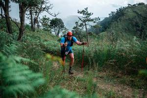 BIB: 
                            <button type="button" onclick="openModal(25264713)" class="btn btn-primary btn-sm float-right btn-popup" data-toggle="modal" data-target=".modal-high-quality">
                        <i class="fas fa-shopping-cart"></i> Add to Cart
                    </button>
                                            <button type="button" onclick="isThisMe(25264713, true)" class="btn btn-success btn-sm float-right btn-popup btn-isme hidden" data-toggle="tooltip" data-placement="bottom" title="นี่คือรูปของคุณใช่ไหม คลิกที่นี่เพื่อเอาเข้าอัลบั้ม">
                        <i class="fas fa-plus"></i> Add to album
                    </button>
                    <button type="button" onclick="isThisMe(25264713, false)" class="btn btn-warning btn-sm float-right btn-popup btn-isnotme hidden">
                        <i class="fas fa-ban"></i> Remove from album
                    </button>