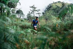 BIB: 
                            <button type="button" onclick="openModal(25277330)" class="btn btn-primary btn-sm float-right btn-popup" data-toggle="modal" data-target=".modal-high-quality">
                        <i class="fas fa-shopping-cart"></i> Add to Cart
                    </button>
                                            <button type="button" onclick="isThisMe(25277330, true)" class="btn btn-success btn-sm float-right btn-popup btn-isme hidden" data-toggle="tooltip" data-placement="bottom" title="นี่คือรูปของคุณใช่ไหม คลิกที่นี่เพื่อเอาเข้าอัลบั้ม">
                        <i class="fas fa-plus"></i> Add to album
                    </button>
                    <button type="button" onclick="isThisMe(25277330, false)" class="btn btn-warning btn-sm float-right btn-popup btn-isnotme hidden">
                        <i class="fas fa-ban"></i> Remove from album
                    </button>