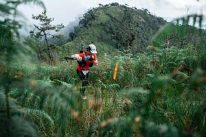 BIB: 
                            <button type="button" onclick="openModal(25268325)" class="btn btn-primary btn-sm float-right btn-popup" data-toggle="modal" data-target=".modal-high-quality">
                        <i class="fas fa-shopping-cart"></i> Add to Cart
                    </button>
                                            <button type="button" onclick="isThisMe(25268325, true)" class="btn btn-success btn-sm float-right btn-popup btn-isme hidden" data-toggle="tooltip" data-placement="bottom" title="นี่คือรูปของคุณใช่ไหม คลิกที่นี่เพื่อเอาเข้าอัลบั้ม">
                        <i class="fas fa-plus"></i> Add to album
                    </button>
                    <button type="button" onclick="isThisMe(25268325, false)" class="btn btn-warning btn-sm float-right btn-popup btn-isnotme hidden">
                        <i class="fas fa-ban"></i> Remove from album
                    </button>